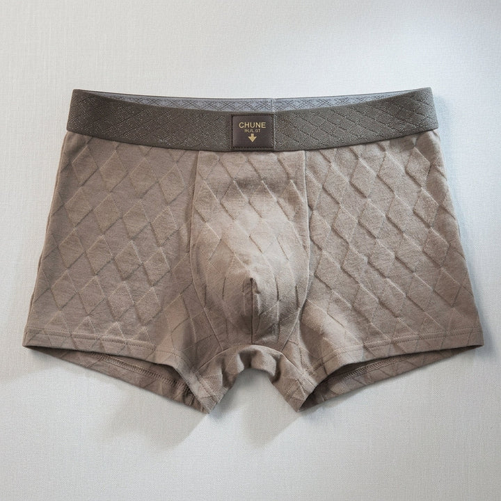 Men's Elastic-Waistband Boxer Briefs