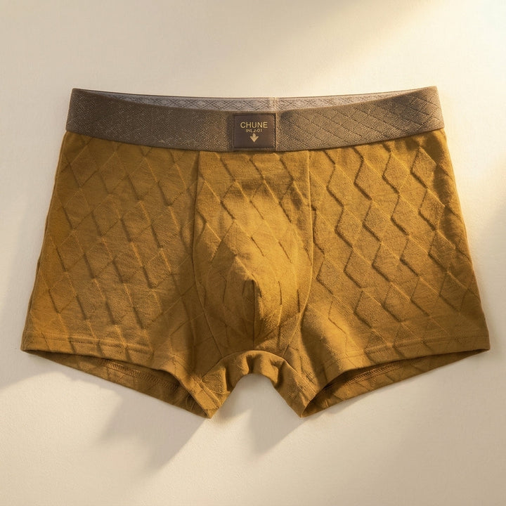 Men's Elastic-Waistband Boxer Briefs