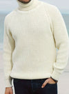 Men's Ribbed Knit Turtleneck Sweater