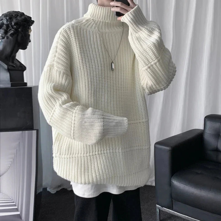 Men's Thick Knit Turtleneck Sweater
