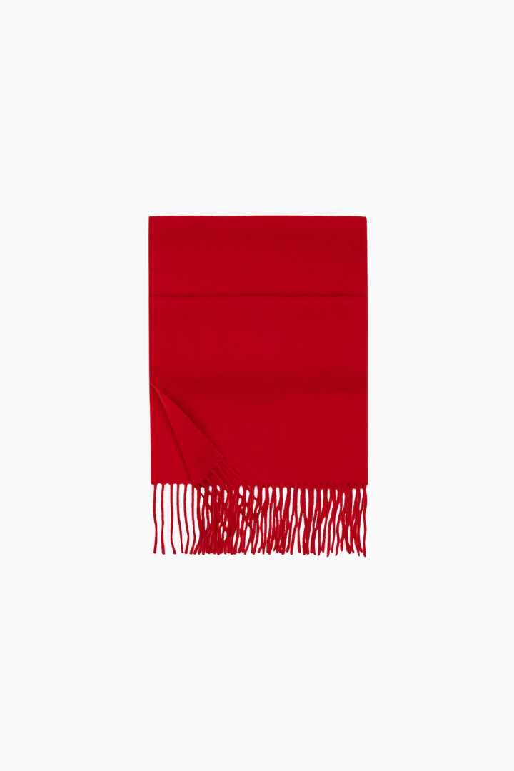 Women's Long Fringed Scarf