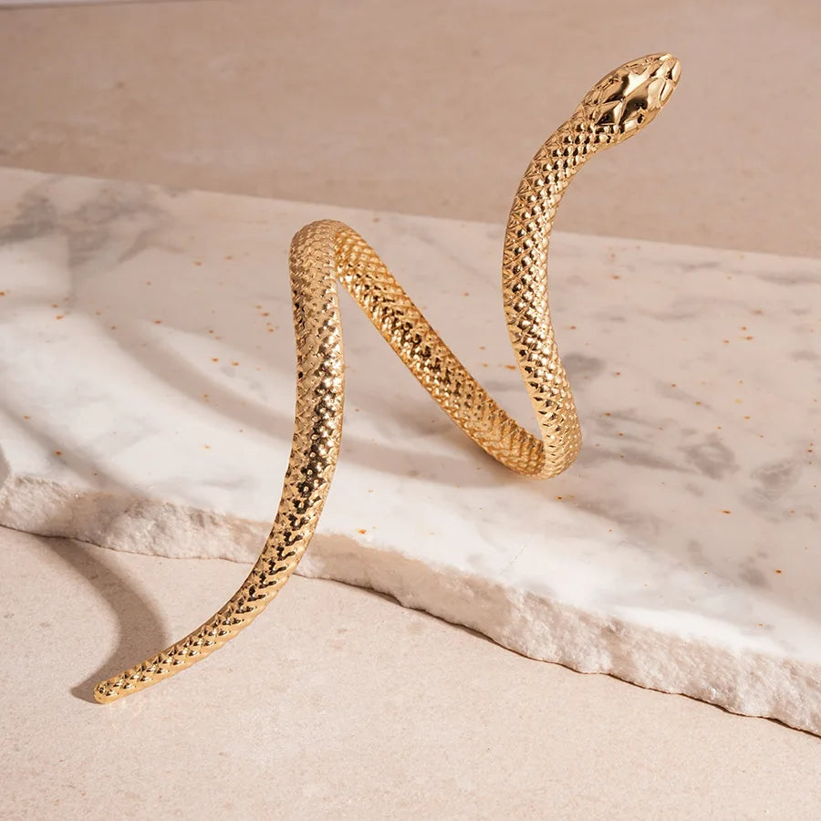 Women's Sculpted Serpent Cuff and Ring Set